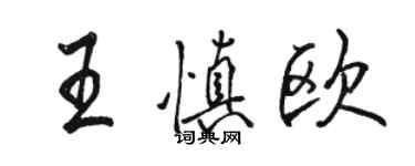 駱恆光王慎歐行書個性簽名怎么寫