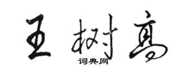 駱恆光王樹高行書個性簽名怎么寫