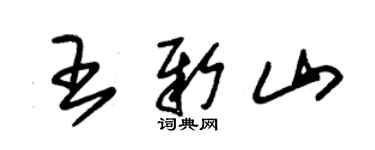 朱錫榮王新山草書個性簽名怎么寫