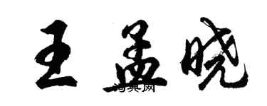 胡問遂王孟曉行書個性簽名怎么寫