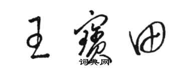 駱恆光王寶田草書個性簽名怎么寫