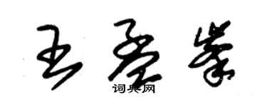 朱錫榮王孟峰草書個性簽名怎么寫