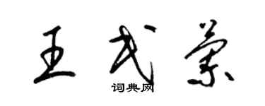 梁錦英王民蘭草書個性簽名怎么寫