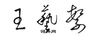 駱恆光王藝繁草書個性簽名怎么寫