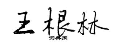 曾慶福王根林行書個性簽名怎么寫