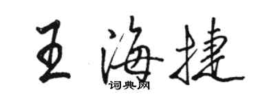 駱恆光王海捷行書個性簽名怎么寫