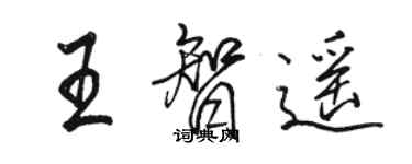 駱恆光王智遙行書個性簽名怎么寫