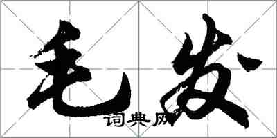 胡問遂毛髮行書怎么寫