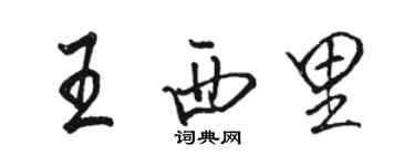 駱恆光王西里行書個性簽名怎么寫