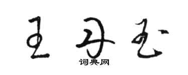 駱恆光王丹玉草書個性簽名怎么寫