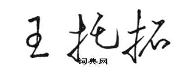 駱恆光王托拓草書個性簽名怎么寫