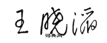 駱恆光王曉滔草書個性簽名怎么寫
