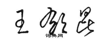 駱恆光王郁昆草書個性簽名怎么寫