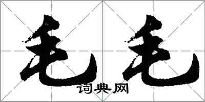 胡問遂毛毛行書怎么寫