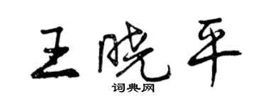 曾慶福王曉平行書個性簽名怎么寫