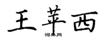 丁謙王苹西楷書個性簽名怎么寫