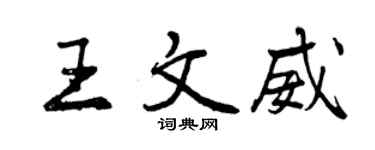 曾慶福王文威行書個性簽名怎么寫