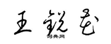 梁錦英王銳花草書個性簽名怎么寫