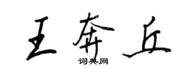王正良王奔丘行書個性簽名怎么寫