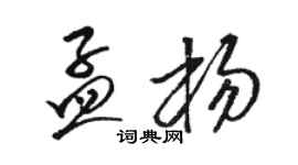 駱恆光孟楊草書個性簽名怎么寫