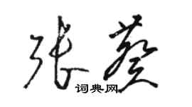 駱恆光張葵草書個性簽名怎么寫