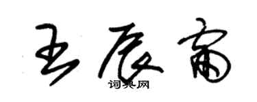 朱錫榮王辰雷草書個性簽名怎么寫