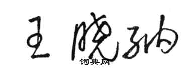 駱恆光王曉納草書個性簽名怎么寫