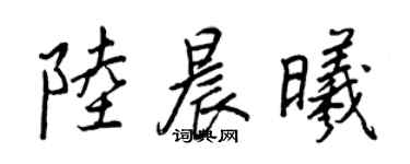 王正良陸晨曦行書個性簽名怎么寫