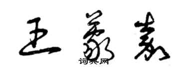 曾慶福王蒙嘉草書個性簽名怎么寫