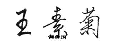 駱恆光王素菊行書個性簽名怎么寫