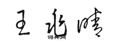 駱恆光王兆晴草書個性簽名怎么寫