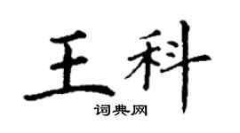 丁謙王科楷書個性簽名怎么寫