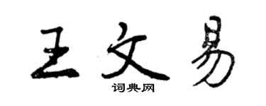 曾慶福王文易行書個性簽名怎么寫
