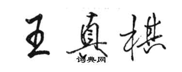 駱恆光王真棋行書個性簽名怎么寫