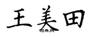 丁謙王美田楷書個性簽名怎么寫