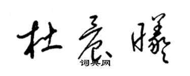 梁錦英杜晨曦草書個性簽名怎么寫