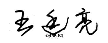 朱錫榮王廷亮草書個性簽名怎么寫