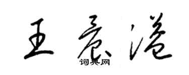 梁錦英王晨溢草書個性簽名怎么寫