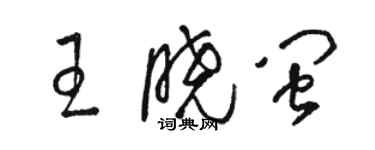 駱恆光王曉閩草書個性簽名怎么寫