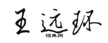 駱恆光王遠環行書個性簽名怎么寫