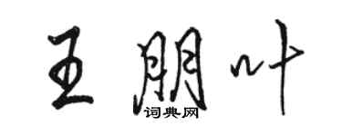 駱恆光王朋葉行書個性簽名怎么寫
