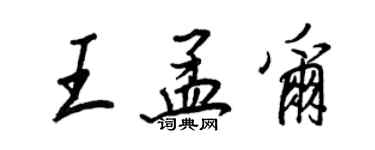 王正良王孟爾行書個性簽名怎么寫