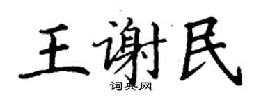 丁謙王謝民楷書個性簽名怎么寫