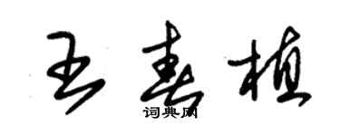 朱錫榮王春植草書個性簽名怎么寫