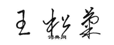 駱恆光王松菊草書個性簽名怎么寫