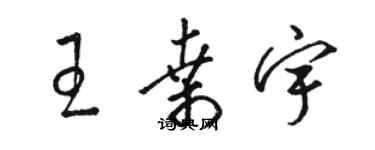 駱恆光王桑宇草書個性簽名怎么寫