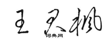 駱恆光王君楓草書個性簽名怎么寫