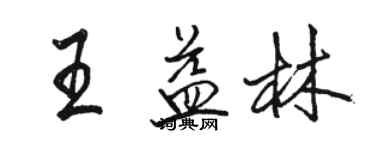 駱恆光王益林行書個性簽名怎么寫