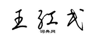 梁錦英王紅民草書個性簽名怎么寫