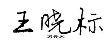曾慶福王曉標行書個性簽名怎么寫